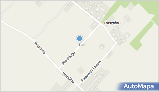 Naftor, Rasztów, Rasztów 05-205 - Przedsiębiorstwo, Firma, numer telefonu, NIP: 1251329637