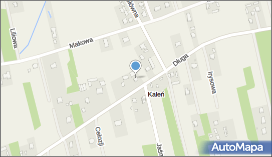 Naprawy Mechaniczne Artur Wyrzykowski, Mszczonowska 6, Kaleń 96-321 - Przedsiębiorstwo, Firma, NIP: 5291725494