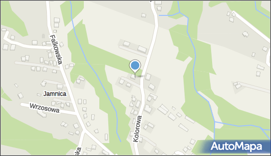 7343534584, Natalia Kontewicz 