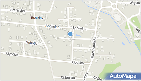 Nauczanie Języków Obcych Tłumaczenia, Spokojna 9 43-502 - Przedsiębiorstwo, Firma, NIP: 6521026637