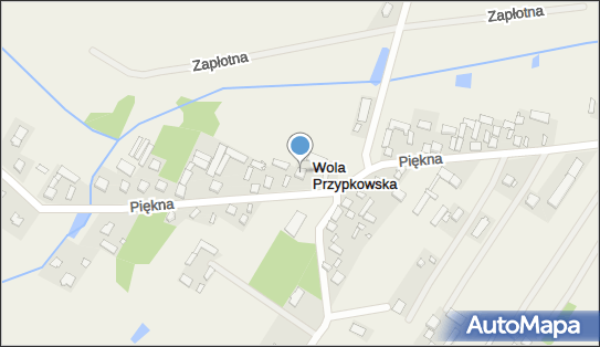 Navi Artur Perzyna, Piękna 38, Wola Przypkowska 05-555 - Przedsiębiorstwo, Firma, NIP: 1231157995