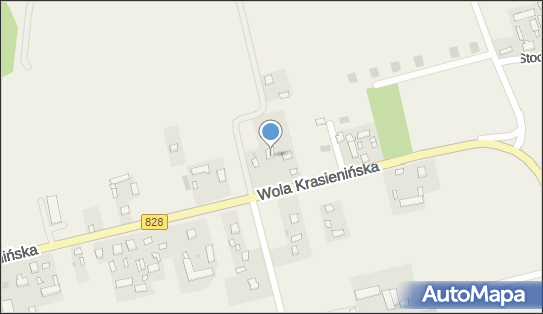 Nemezis-Chemia Profesjonalna Joanna Brzozowska, Wola Krasienińska 21-025 - Przedsiębiorstwo, Firma, NIP: 7821378789