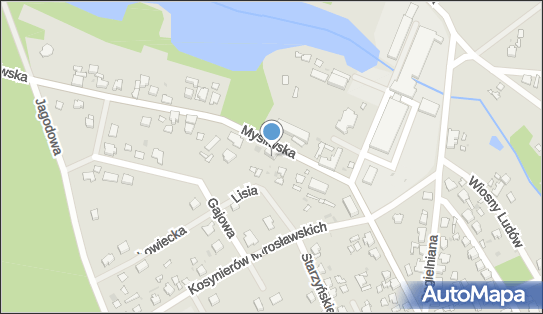 Network Marketing Dystrybutor, Myśliwska 21, Witnica 66-460 - Przedsiębiorstwo, Firma, NIP: 5991027792