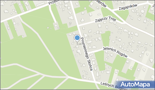 1231133960, Network Technologies Polska Lutoborski Sp. j. 