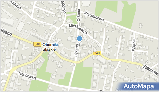 Nibylandia Sala Zabaw Dla Dzieci, Oborniki Śląskie 55-120 - Przedsiębiorstwo, Firma, NIP: 9151575298
