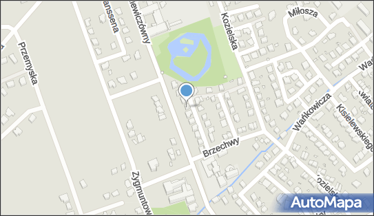 Nicolas Dermine, ul. Marii Rodziewiczówny 7A, Nysa 48-303 - Przedsiębiorstwo, Firma, NIP: 7532431709