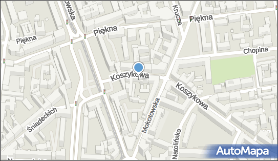 Niemczyk i Wspólnicy, Koszykowa 33, Warszawa 00-553 - Przedsiębiorstwo, Firma, numer telefonu, NIP: 5252362917