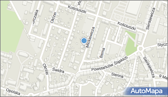 Niepubliczny Zakład Opieki Zdrowotnej Bi-Med, Apteka Leśna Wojciech Bichalski 42-600 - Przedsiębiorstwo, Firma, NIP: 6451165893