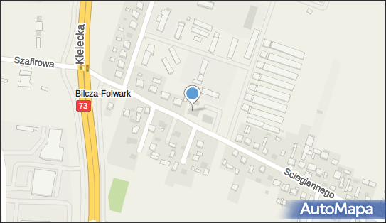 Niepubliczny Zakład Opieki Zdrowotnej Logopeda, Bilcza 26-026 - Przedsiębiorstwo, Firma, NIP: 9590882223