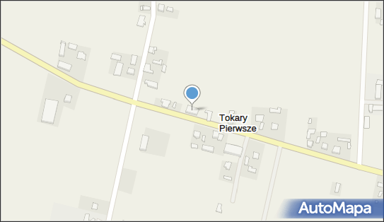 Niepubliczny Zakład Opieki Zdrowotnej Ośrodek Zdrowia Tok Med 62-704 - Przedsiębiorstwo, Firma, numer telefonu