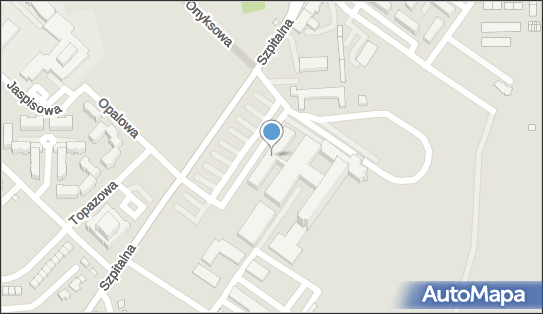 Niepubliczny Zakład Opieki Zdrowotnej Pielęgniarsko Położniczy Cordis 62-500 - Przedsiębiorstwo, Firma, NIP: 6651238817