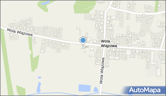 Niepubliczny Zakład Opieki Zdrowotnej Wola Med, Wola Wiązowa 11 97-438 - Przedsiębiorstwo, Firma, numer telefonu, NIP: 7691506012