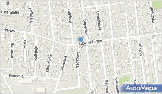 Nitro Taxi, Szwoleżerów 34, Ząbki 05-091 - Przedsiębiorstwo, Firma, NIP: 1250121403