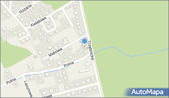 NPI, Trzebnicka 9, Szczodre 55-095 - Przedsiębiorstwo, Firma, numer telefonu, NIP: 1010000551