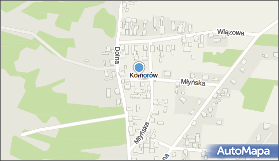 Nysa Patrycja Urban, Komorów, Komorów 66-620 - Przedsiębiorstwo, Firma, NIP: 9261674239