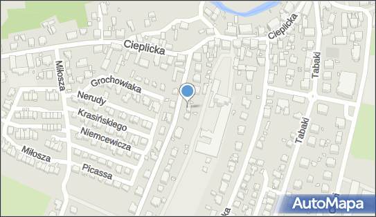 Obszywanie Skórą i Sprzedaż Kierownic Samochodowych Oraz Tapicerki Samochodowej Czesław Wójcik 58-560 - Przedsiębiorstwo, Firma, NIP: 6141002872