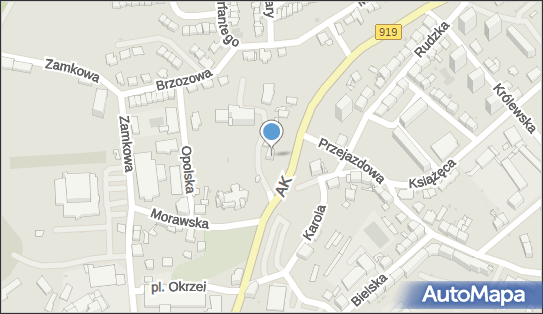 Ocdt Office Consult Design Techn Wyleżych Januszkiewicz Senczyn 47-400 - Przedsiębiorstwo, Firma, NIP: 6391169969