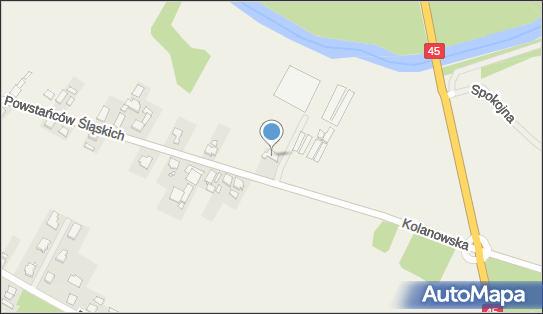 Ogrodnictwo Andrzej Nowak, ul. Powstańców Śląskich 57a 46-024 - Przedsiębiorstwo, Firma, numer telefonu, NIP: 7541340343