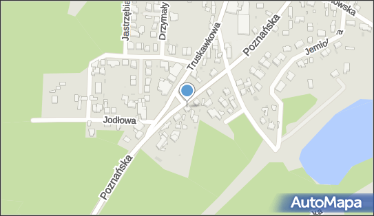 Ogrodnictwo Barbara i Mieczysław Woźny, Poznańska 8 65-137 - Przedsiębiorstwo, Firma, NIP: 9730443973