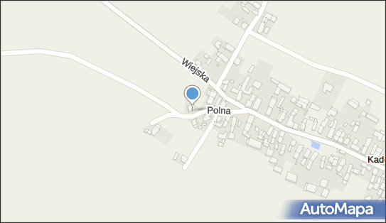 Oleksandr Arshynskyyc - Alina, ul. Polna 5, Kadłubiec 47-154 - Przedsiębiorstwo, Firma, NIP: 7561901827