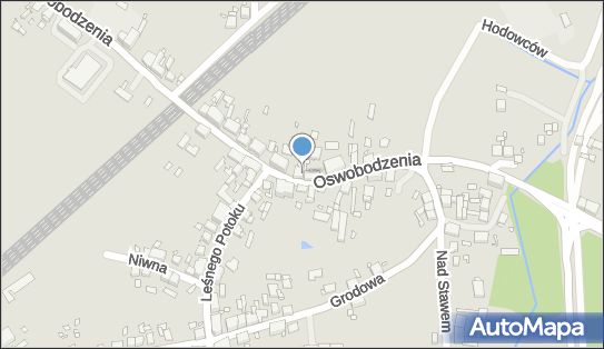 Oliwia Petridis Salon Fryzjerski i Sklep Dla Psów, Oswobodzenia 87 40-405 - Przedsiębiorstwo, Firma, NIP: 9542748596