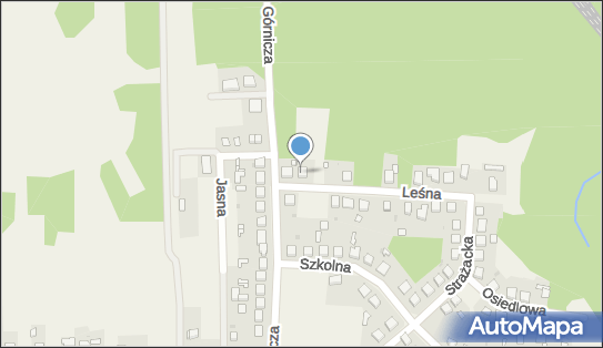 Omega Transport Sławomir Sikorski, ul. Leśna 3, Osiny 42-260 - Przedsiębiorstwo, Firma, NIP: 5732287877