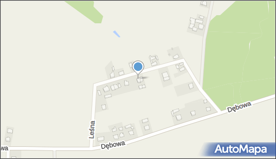 Opiekunka Osób Starszych Aleksandra Stoinska, ul. Leśna 11A 86-120 - Przedsiębiorstwo, Firma, NIP: 5592000277