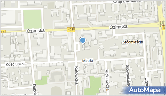 Opolskie Stowarzyszenie Instruktorów, Katowicka 50, Opole 45-061 - Przedsiębiorstwo, Firma, numer telefonu, NIP: 7542875537