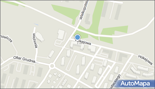 Optyk Przedsiębiorstwo Handlowo Usługowe, ul. Hokejowa 2, Gdańsk 80-180 - Przedsiębiorstwo, Firma, NIP: 9570678666