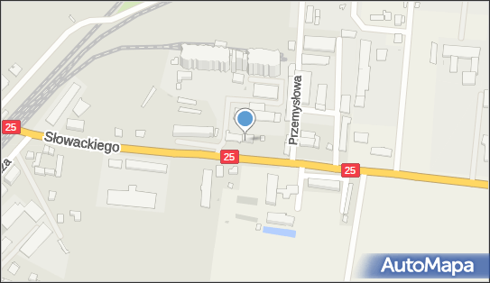 Orchidea, ul. Juliusza Słowackiego 19, Człuchów 77-300 - Przedsiębiorstwo, Firma, NIP: 8431322296