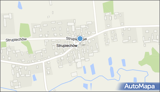 Orzechowski Gracjan, Strupiechów 20, Strupiechów 07-111 - Przedsiębiorstwo, Firma, NIP: 8241803265