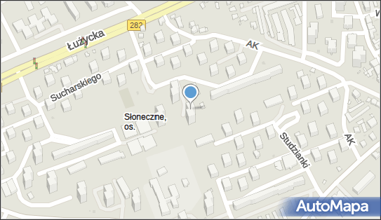 9291174978, Osobowy Transport Drogowy Artur Sałaciński 