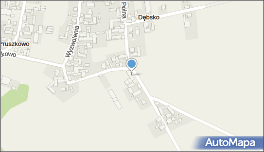 OSP, Dębsko, ul. Polna 14A, Dębsko 64-050 - Przedsiębiorstwo, Firma, numer telefonu, NIP: 9950134168