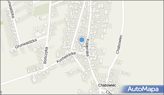OSP w Borucinie Gmina Krzanowice, ul. Kopernika 48, Borucin 47-470 - Przedsiębiorstwo, Firma, NIP: 6391720829