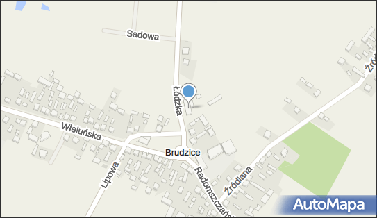OSP w Brudzicach, Łódzka 2, Brudzice 97-565 - Przedsiębiorstwo, Firma, numer telefonu, NIP: 7720015513