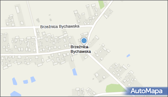 OSP w Brzeźnicy Bychawskiej, Brzeźnica Bychawska 21-104 - Przedsiębiorstwo, Firma, NIP: 7142013743
