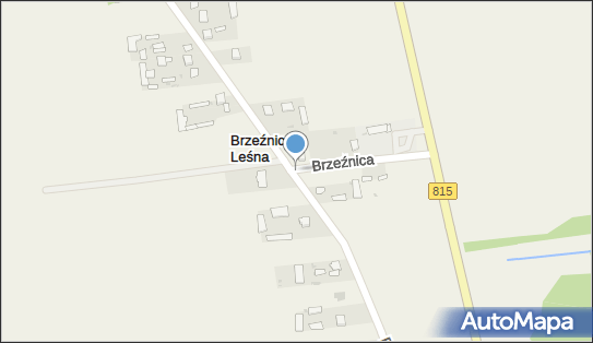 OSP w Brzeźnicy Leśnej, Brzeźnica Leśna, Brzeźnica Leśna 21-104 - Przedsiębiorstwo, Firma, NIP: 7142045447