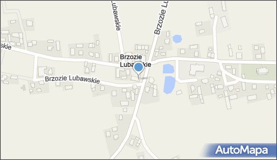 OSP w Brzoziu Lubawskim, Brzozie Lubawskie 35, Brzozie Lubawskie 13-306 - Przedsiębiorstwo, Firma, NIP: 8771422708