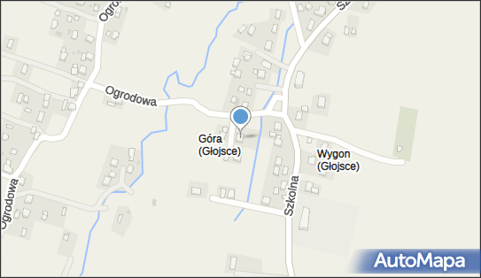 OSP w Głojscach, Szkolna 48, Głojsce 38-450 - Przedsiębiorstwo, Firma, NIP: 6842353073