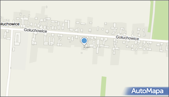 OSP w Gołuchowicach, Gołuchowice 82, Gołuchowice 42-470 - Przedsiębiorstwo, Firma, NIP: 6491893825