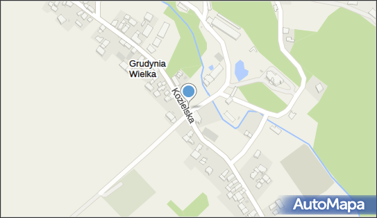 OSP w Grudyni Wielkiej, ul. Kozielska 42, Grudynia Wielka 47-280 - Przedsiębiorstwo, Firma, NIP: 7491931035
