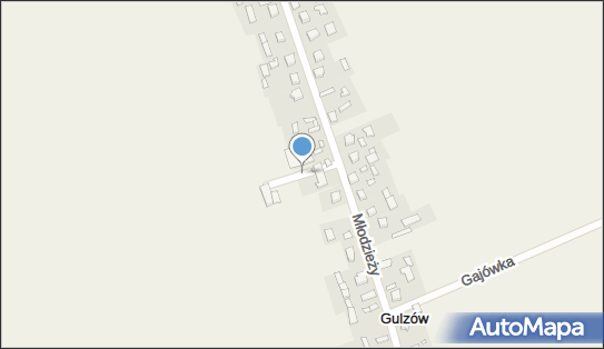 OSP w Gulzowie, ul. Wesoła 1, Gulzów 42-440 - Przedsiębiorstwo, Firma, NIP: 6492026473