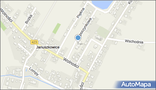 OSP w Januszkowicach, Wypoczynkowa 2, Januszkowice 47-330 - Przedsiębiorstwo, Firma, numer telefonu, NIP: 7551794181