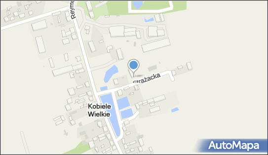 OSP w Kobielach Wielkich, Strażacka 3, Kobiele Wielkie 97-524 - Przedsiębiorstwo, Firma, NIP: 7721100020