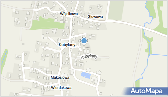 OSP w Kobylanach, Kobylany 206, Kobylany 38-462 - Przedsiębiorstwo, Firma, NIP: 6842253526