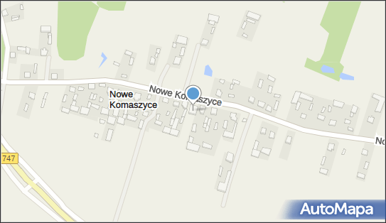 OSP w Komaszycach Nowych, Nowe Komaszyce 29, Nowe Komaszyce 24-300 - Przedsiębiorstwo, Firma, NIP: 7171665460