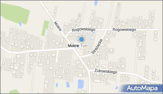 OSP w Mokrem, ul. Strażacka 1, Mokre 05-250 - Przedsiębiorstwo, Firma, NIP: 1250971432