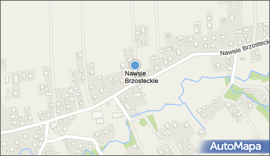 OSP w Nawsiu Brzosteckim, Nawsie Brzosteckie 207A 39-230 - Przedsiębiorstwo, Firma, numer telefonu, NIP: 8722146579