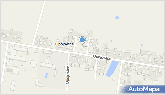 OSP w Opojowicach, Opojowice 5, Opojowice 98-310 - Przedsiębiorstwo, Firma, NIP: 8321902124