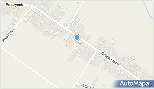 OSP w Pruszynku, Pruszynek 6, Pruszynek 08-110 - Przedsiębiorstwo, Firma, NIP: 8212178592